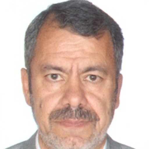 Prof. M. Mousavi Mashhadi